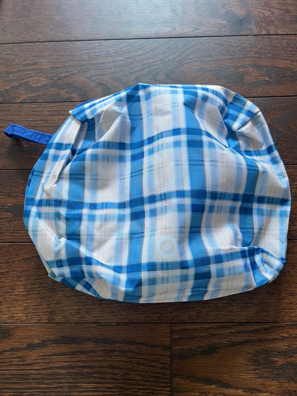 Target Blue Plaid Cosmetic Bag